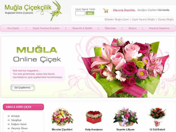 www.muglacicekcilik.com