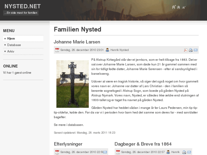 www.nysted.net