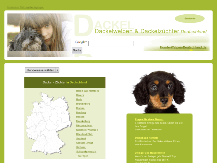 www.dackel-teckel-welpen-deutschland.de