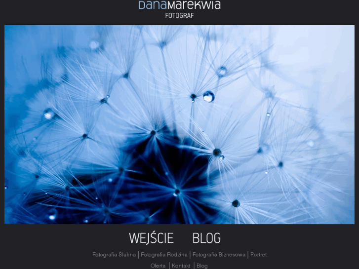 www.danamarekwia.pl