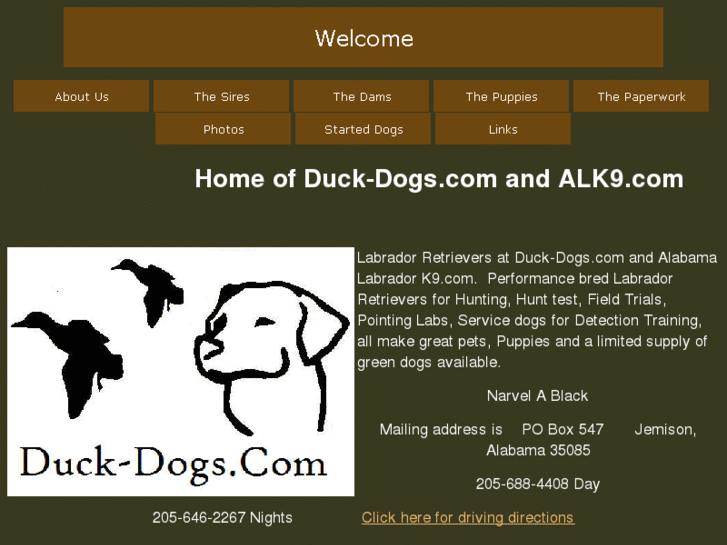 www.duck-dogs.com