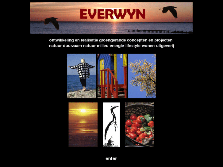 www.everwyn.nl