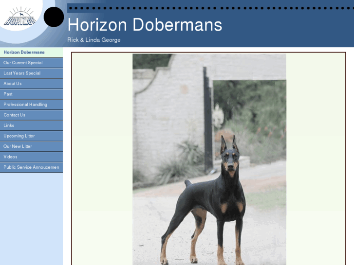 www.horizondobermans.com