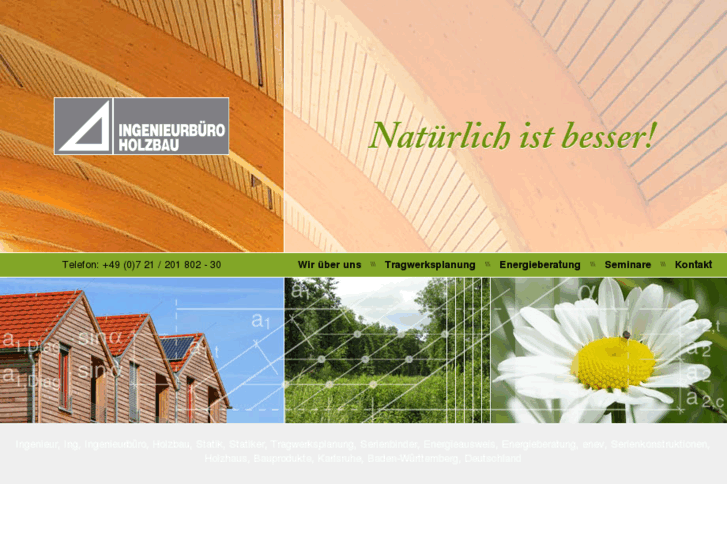 www.ingenieurbuero-holzbau.com