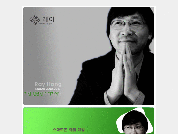 www.raymicrosystem.com