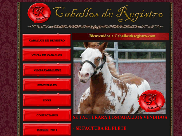 www.caballosderegistro.com