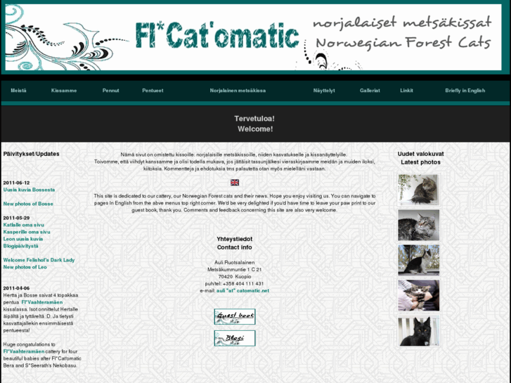 www.catomatic.net