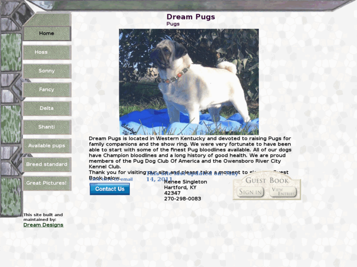 www.dreampugs.com