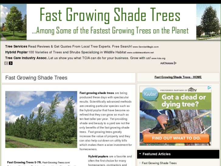 www.fastgrowingshadetrees.org