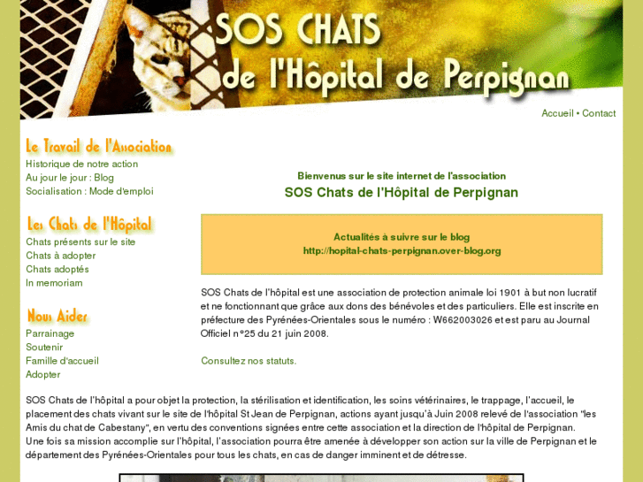 www.hopital-chats-perpignan.org