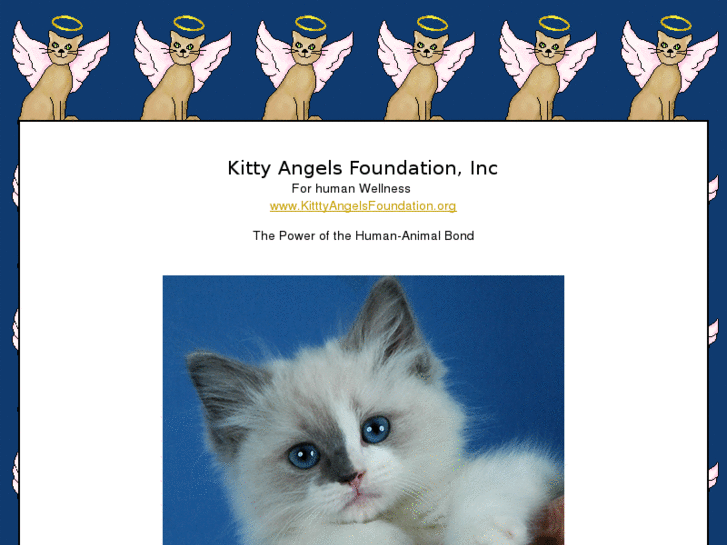 www.kittyangelsfoundation.org