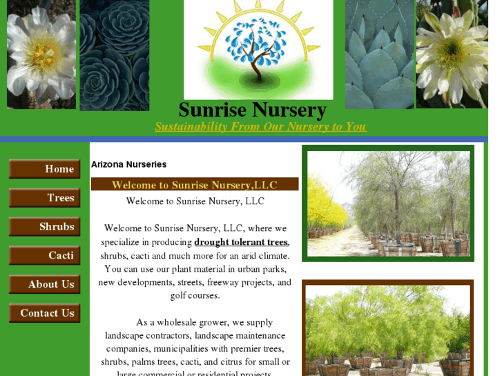 www.sunrisenurseryllc.com