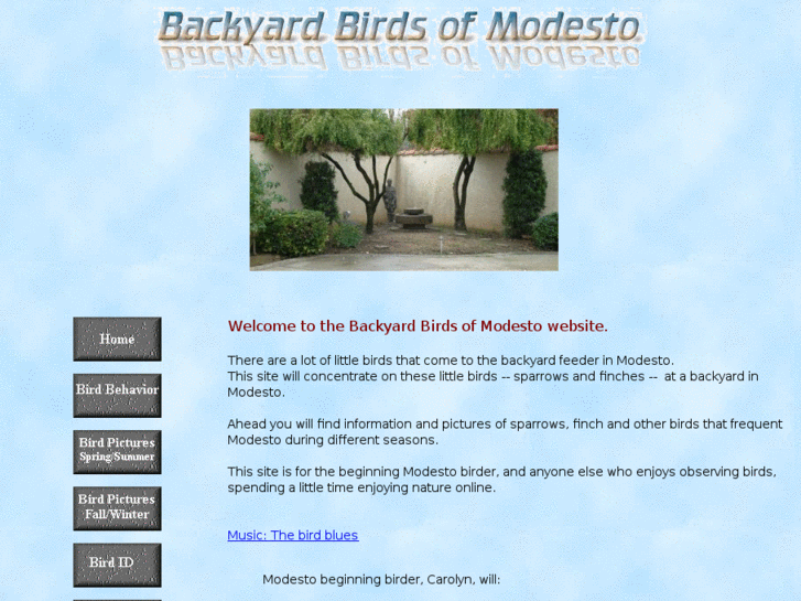 www.backyardbirdsofmodesto.com