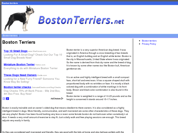 www.bostonterriers.net
