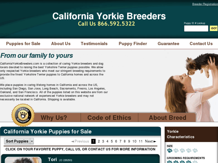 www.californiayorkiebreeders.com