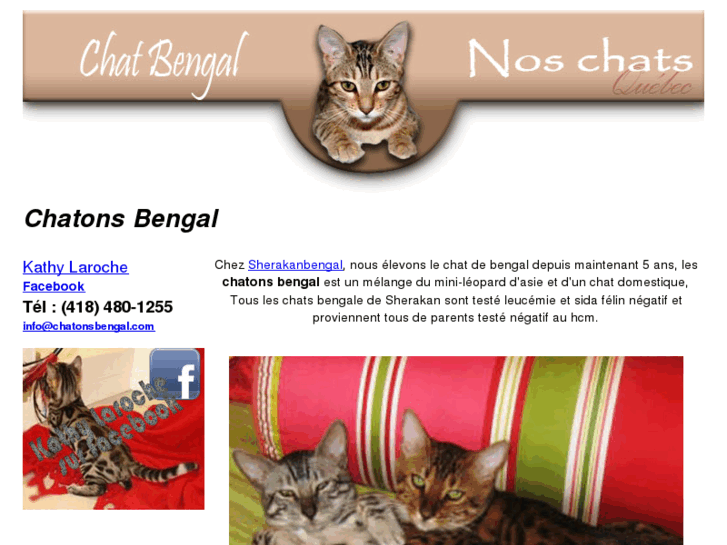 www.chatonsbengal.com