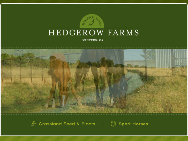 www.hedgerowfarms.com