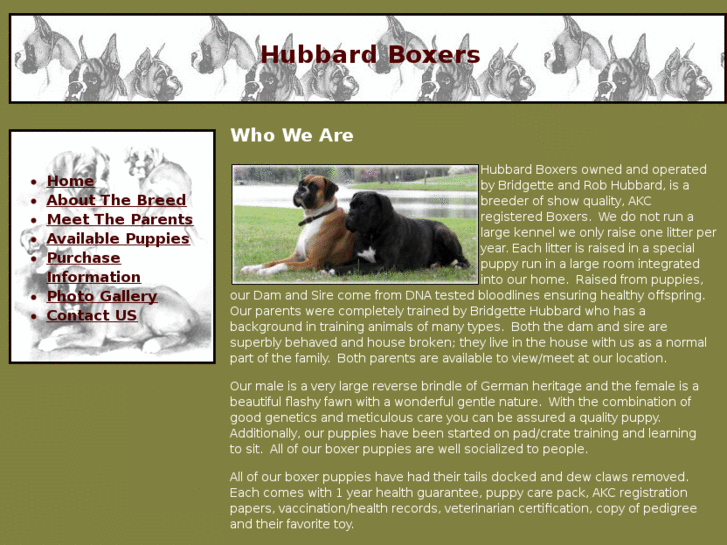 www.hubbardboxers.com