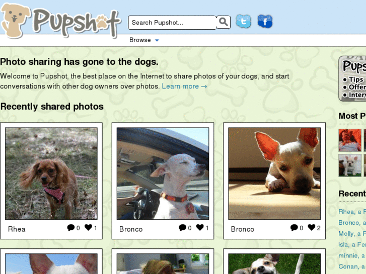 www.pupshot.com