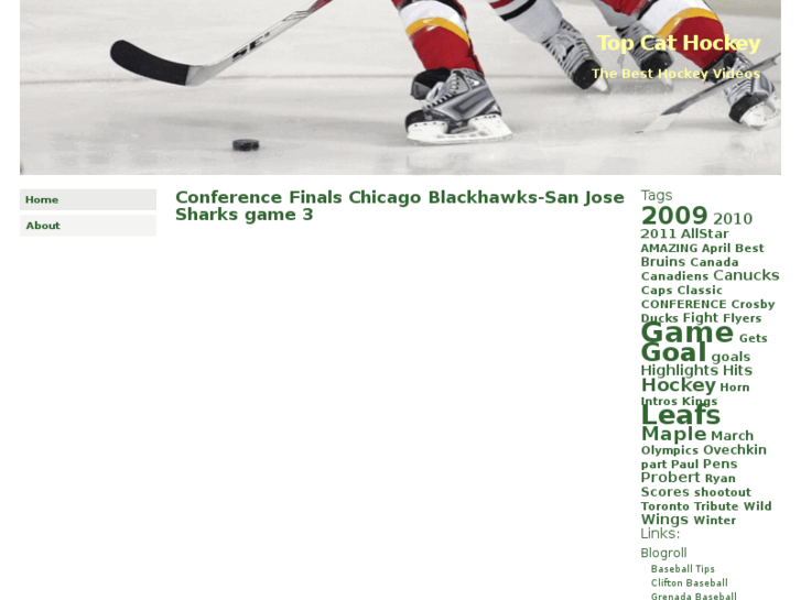 www.topcathockey.com