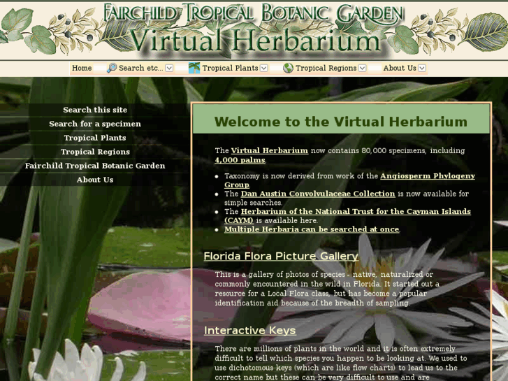 www.virtualherbarium.com