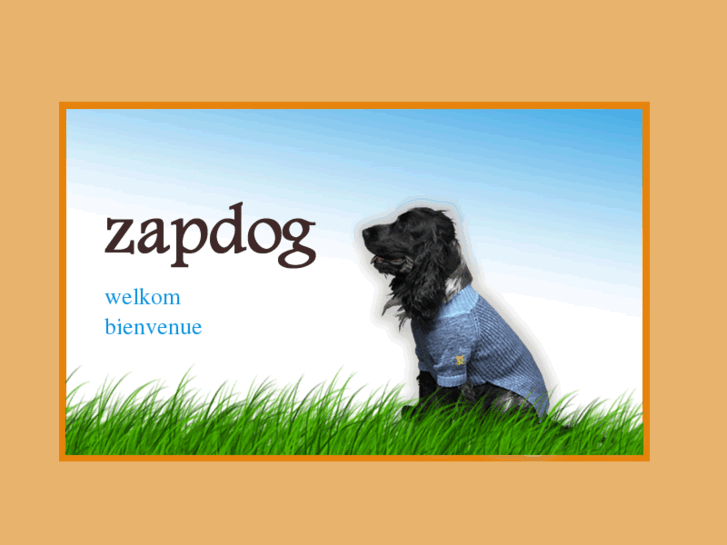 www.zapdog.be