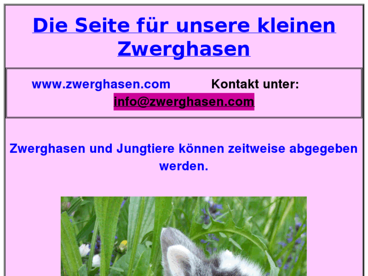 www.zwerghasen.com