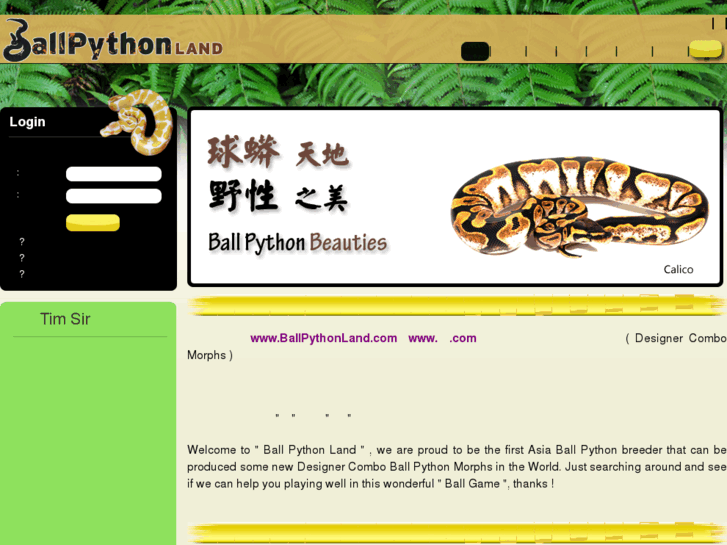 www.ballpythonland.com