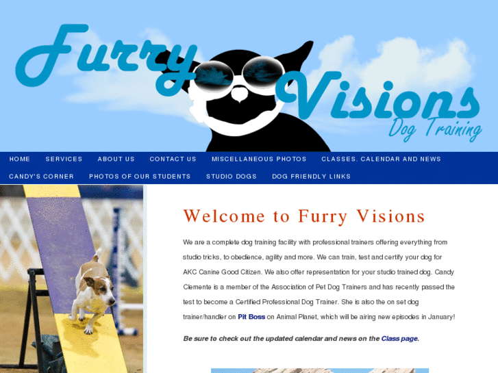 www.furryvisionsdogtraining.com