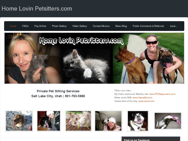 www.homelovinpetsitters.com