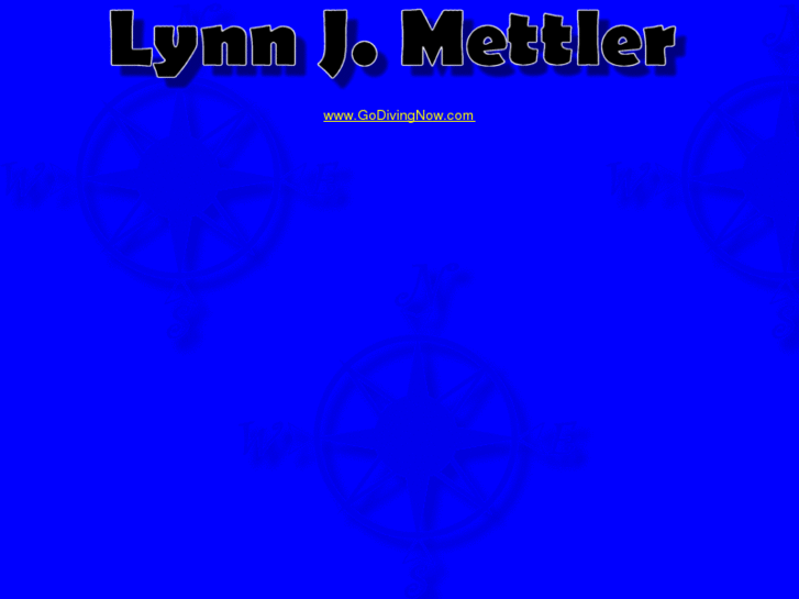 www.lynnmettler.com