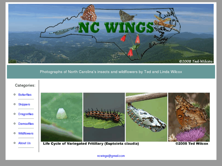 www.ncwings.com