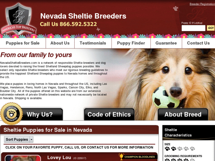 www.nevadasheltiebreeders.com