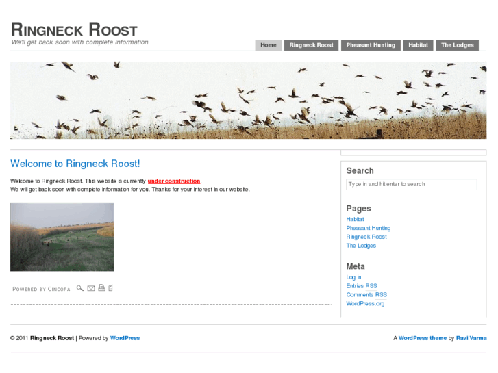 www.ringneckroost.com