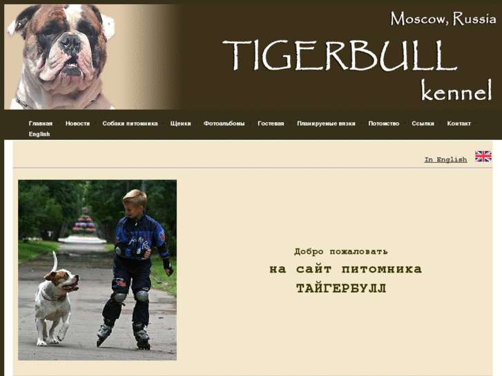 www.tigerbull.com