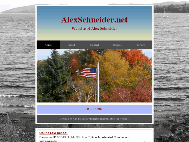 www.alexschneider.net