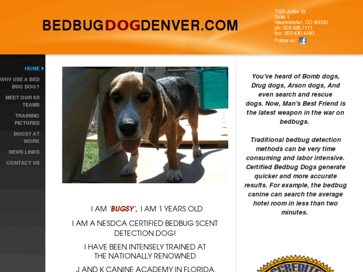 www.bedbugdogdenver.com