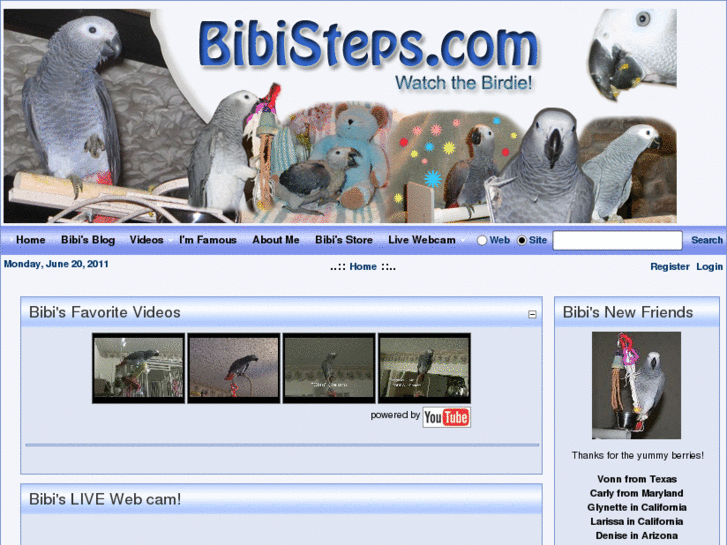 www.bibisteps.com