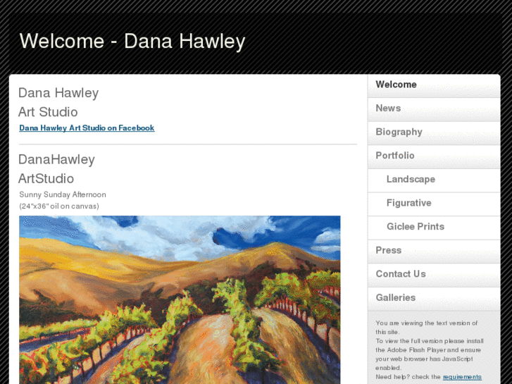 www.danahawley.com