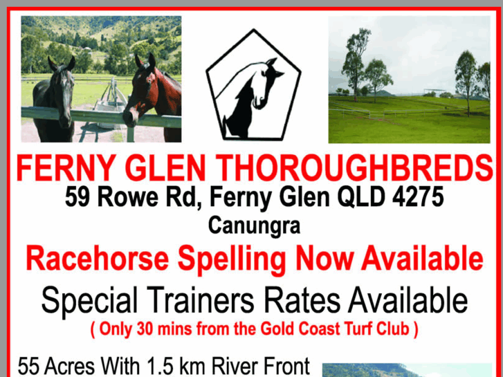 www.fernyglenthoroughbreds.com