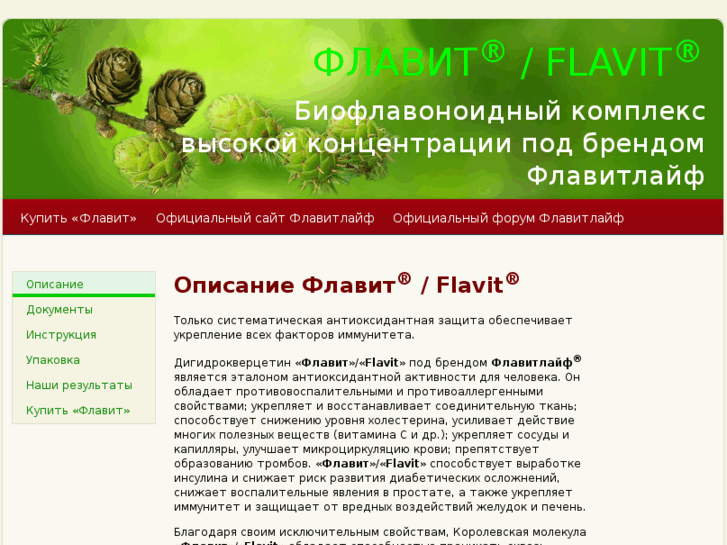 www.flavit.info