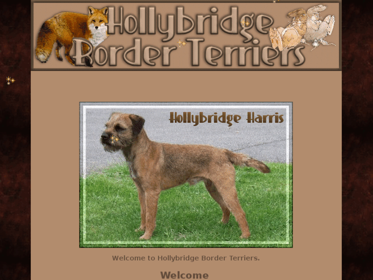 www.hollybridge.co.uk