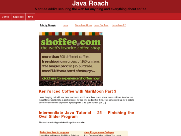 www.javaroach.com