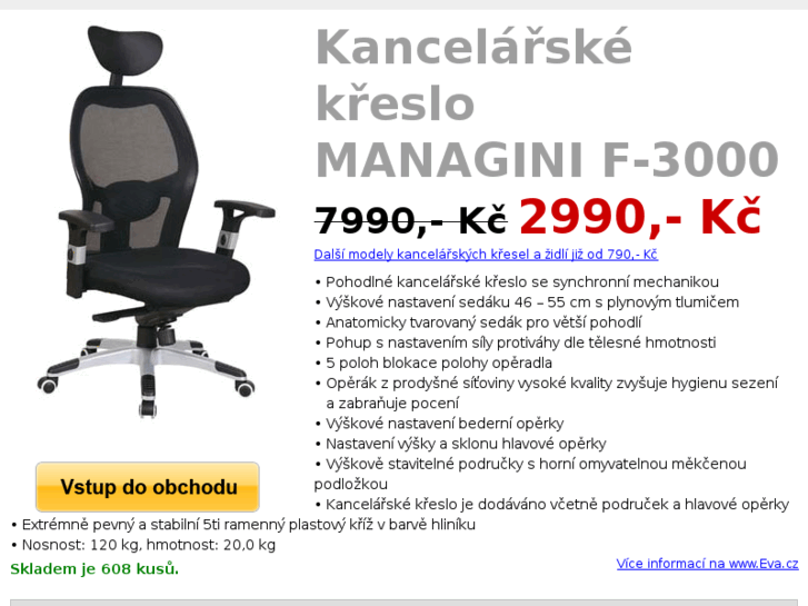 www.managini.cz