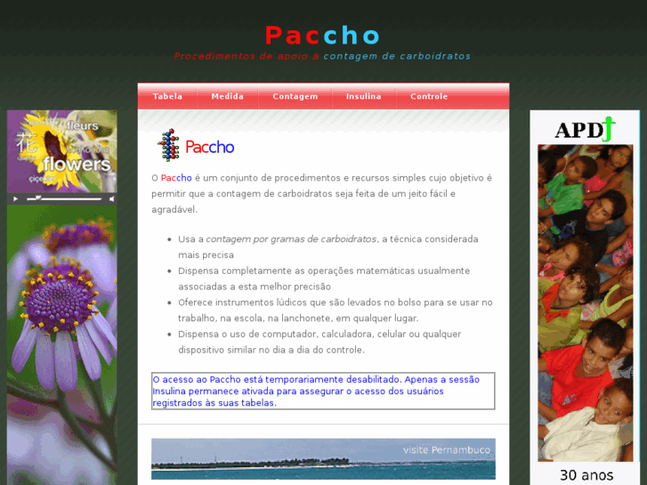 www.paccho.com