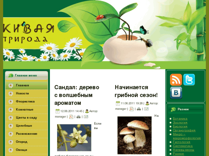 www.phytology.ru