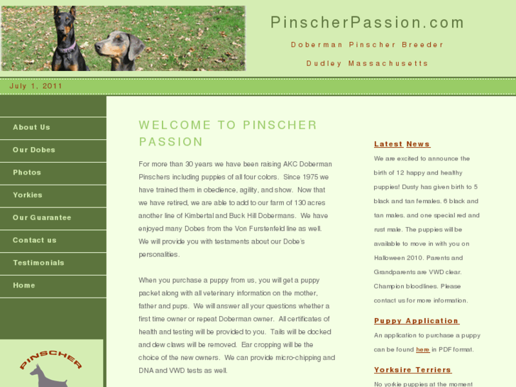 www.pinscherpassion.com