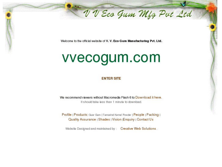 www.vvecogum.com