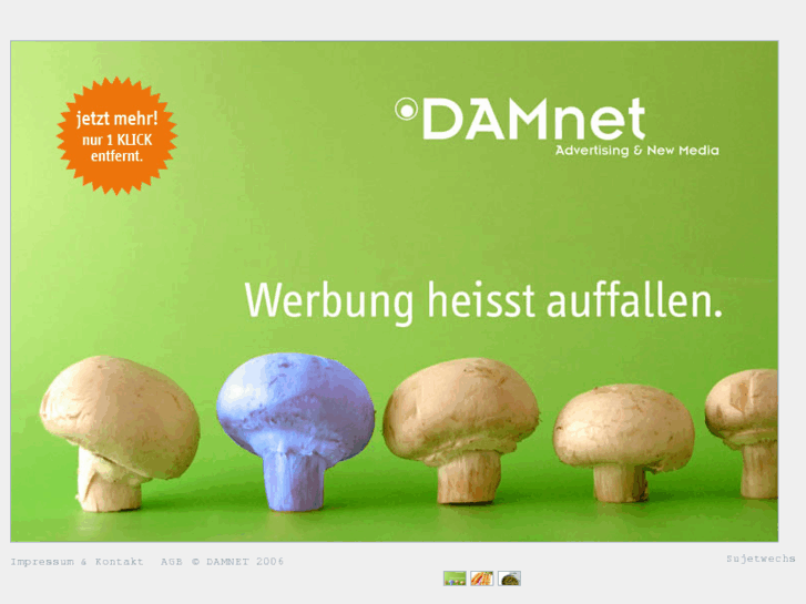 www.damnet.at