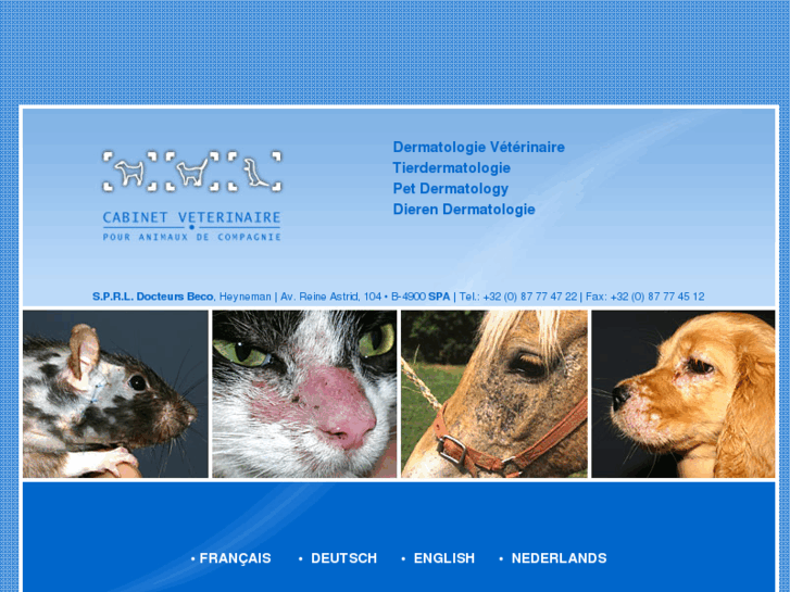 www.dermatovet.com